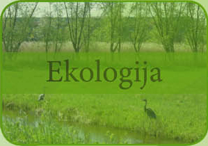 Ekologija